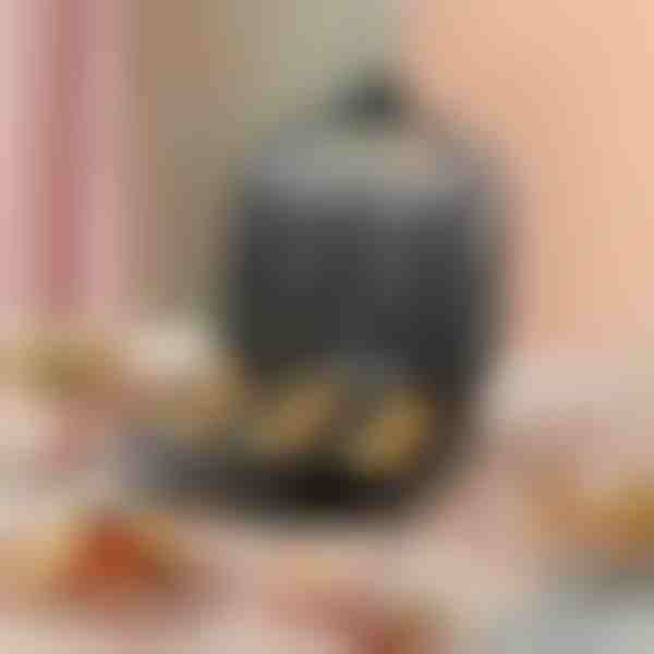 Aparat za krafne | DONUTPRO