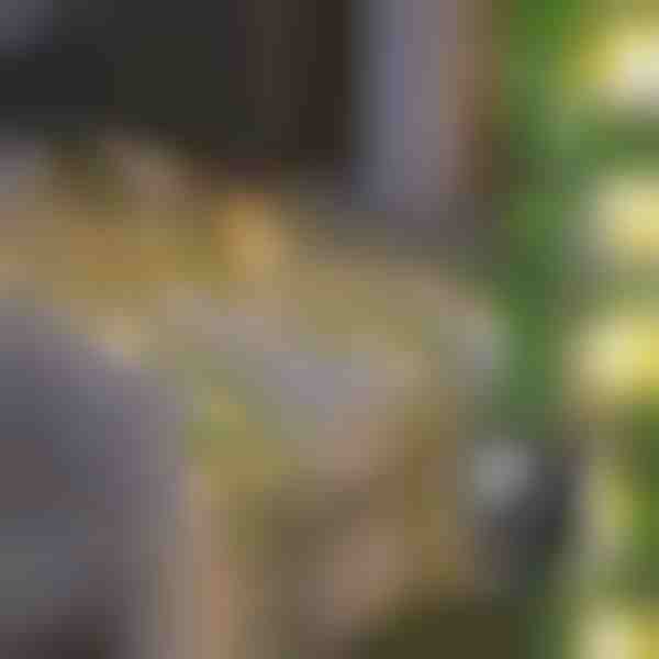 Solarna bajkovita svjetla s umjetnim lišćem bršljana (5 m) | LEAFGLO