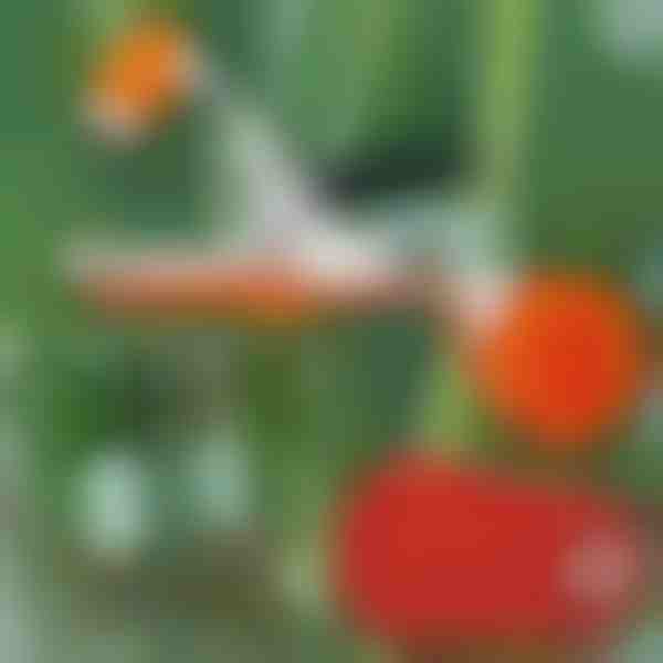 Profesionalna spajalica za biljke | PLANTBRAND