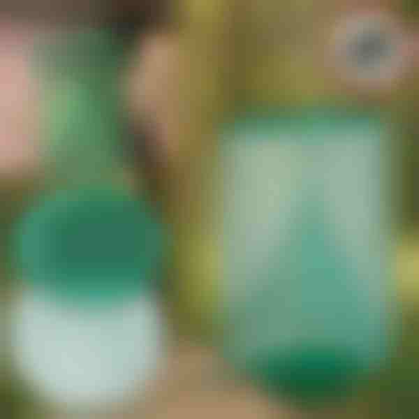 Višekratna viseća zamka za muhe i insekte | INSECTA