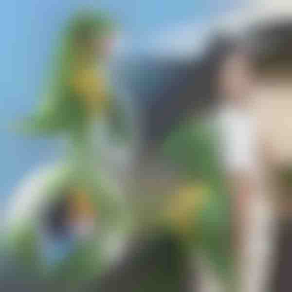 3D ruksak u obliku dinosaura | DINOBACK