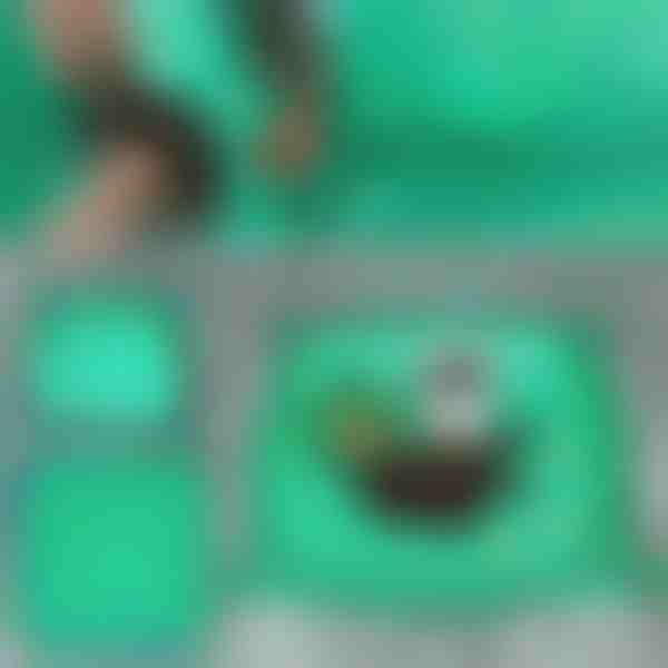 Podloga za presađivanje biljaka | FLORAMAT