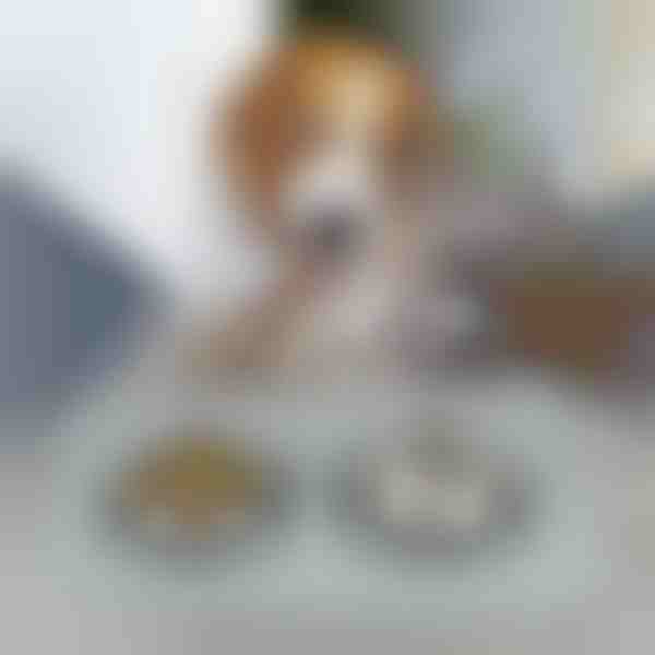 Podloga za hranjenje kućnih ljubimaca | KIBBLEMAT