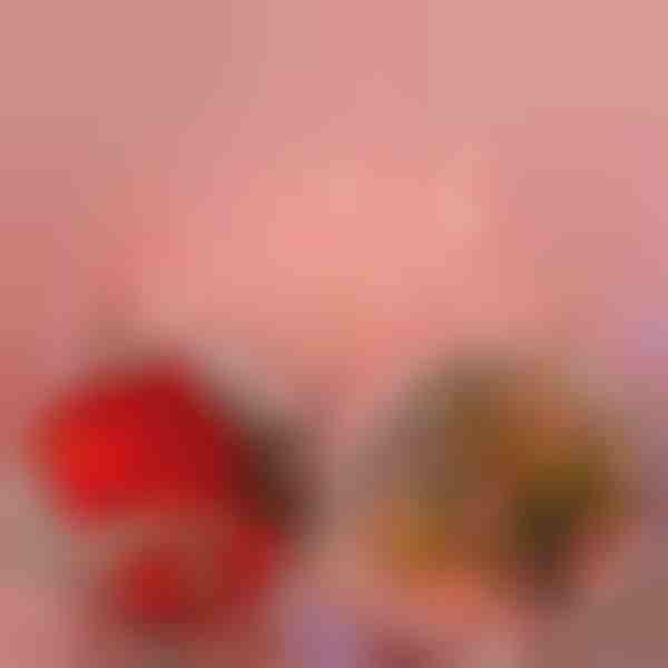 LED svjetiljke u obliku ruža (2m) | LUMEROSE