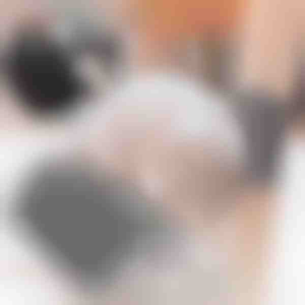 Češalj za samonjegu mačaka (2kom) | PURRCORNER