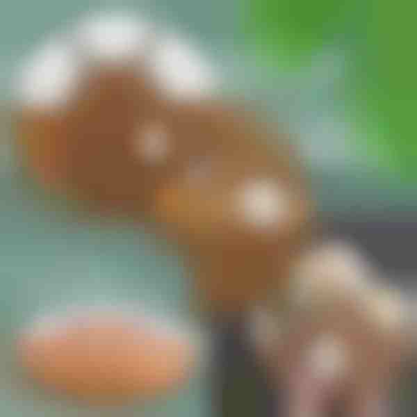 Kompletan set za posluživanje grickalica | SNACKPLATTER