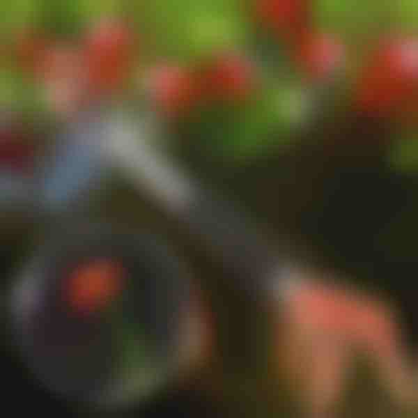 Škare za orezivanje stabala | TREESNIP