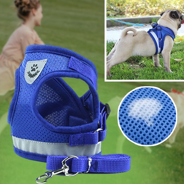 Podesivi reflektirajući pojas i povodac za kućne ljubimce | LEASHNGO