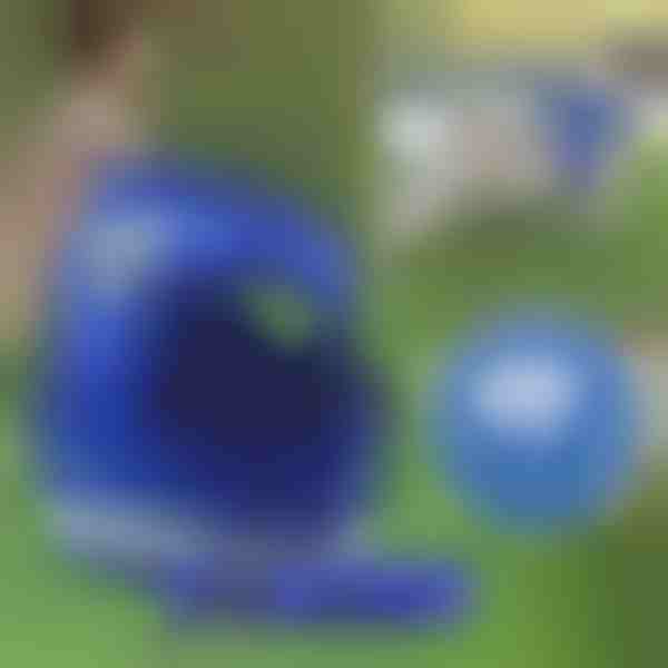 Podesivi reflektirajući pojas i povodac za kućne ljubimce | LEASHNGO