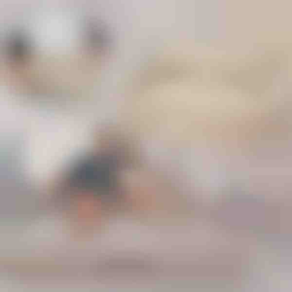 Napuhujući Kauč na Razvlačenje | SOFLINKA