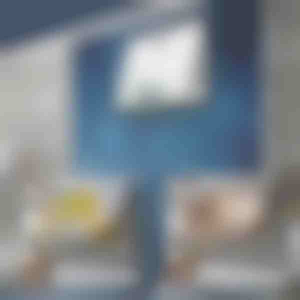 Ukrasna slika za poklopac razvodne kutije (30 x 40 cm) | DECOFRAME