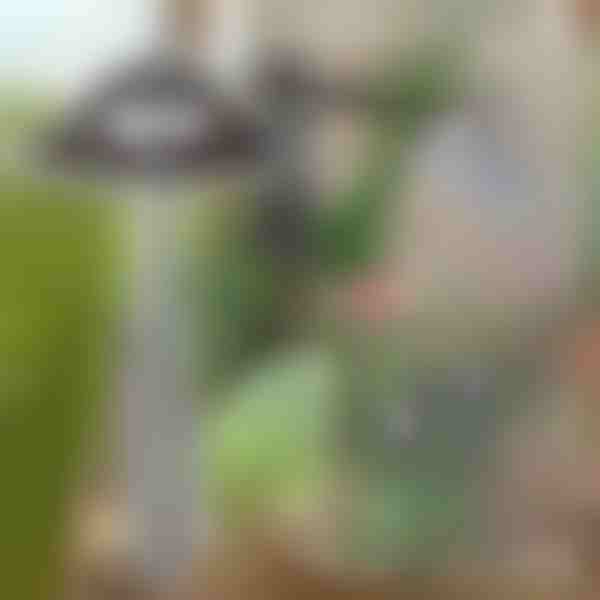 Vrtna motika za jednostavno uklanjanje korova | GRASSOE