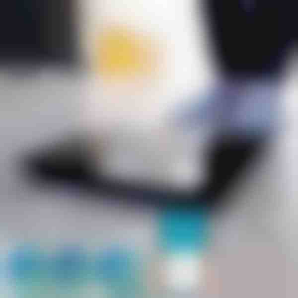 Analitička pametna vaga | DATASCALE