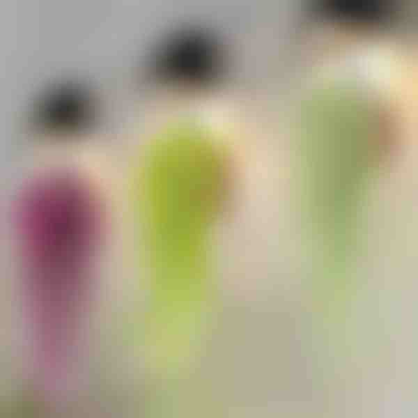 Ukrasna biljka visilica | IVYORA