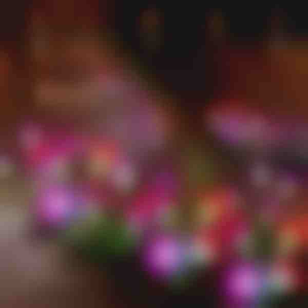 Svjetla za vrtne cvjetove na solarnu energiju | BLOSSUN