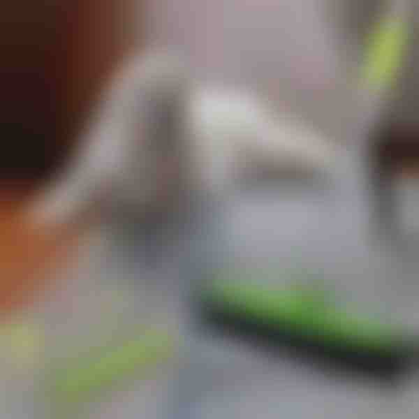 Čistač dlaka kućnih ljubimaca | PAWMOP