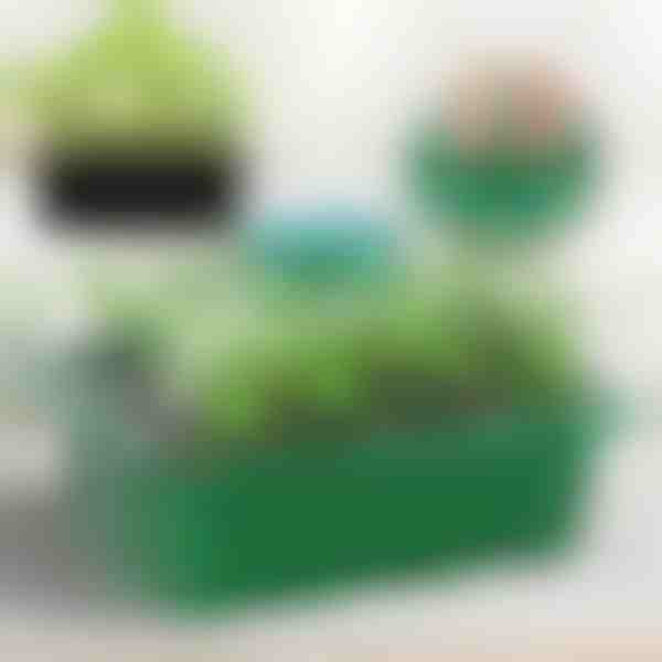 Posuda za uzgoj presadnica s pregradama | PLANTURKA