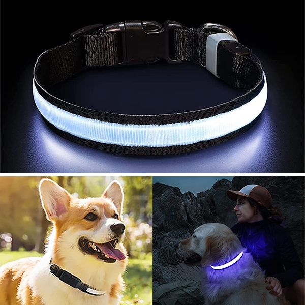Ogrlica za pse koja svijetli u mraku | PETSHINE