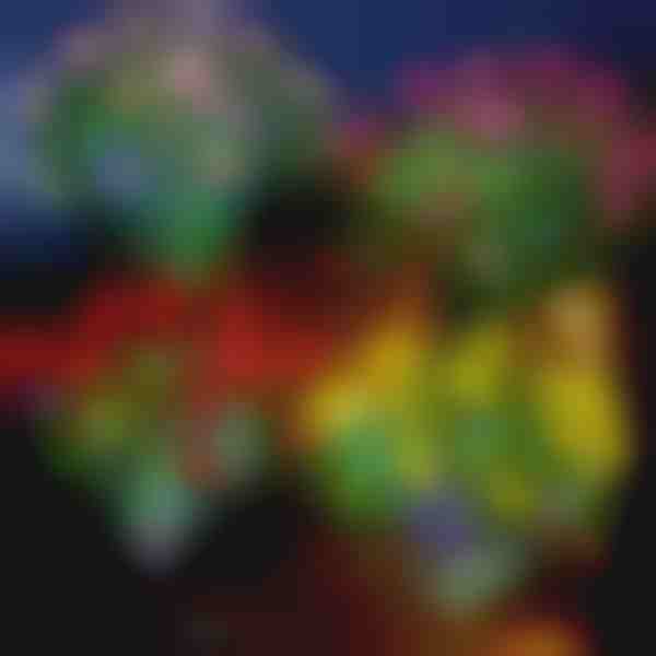 Solarna svjetla u obliku cvijeća | ROSILUME