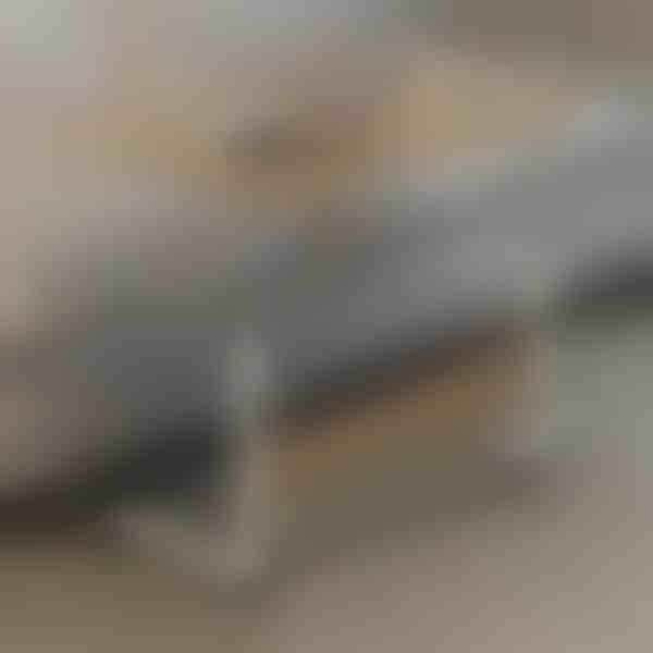 Prijenosni stol | EVOSTUL