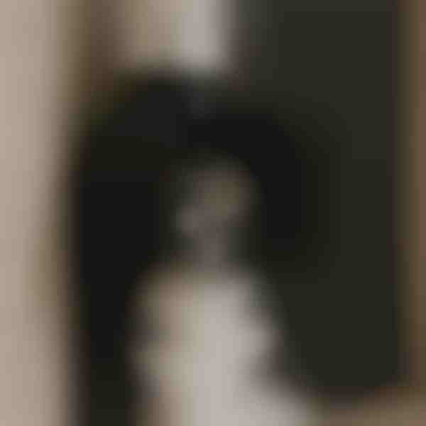 Snažan ventilator za čist zrak | VENTORIS