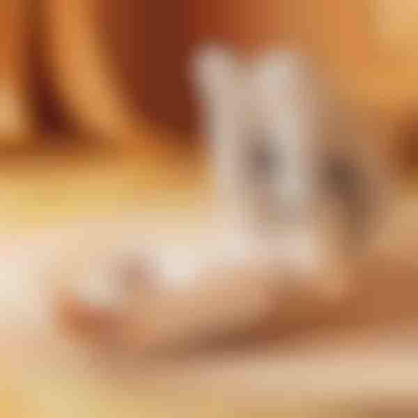 Brzi sušač obuće | DRYVATUS