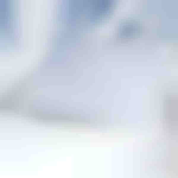 Magnetska zaštita vjetrobranskog stakla od snijega | FROSTCOVER