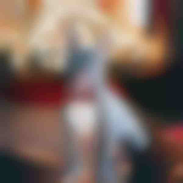 Svečana ogrlica za pse u obliku snježne pahulje | DOGICOLLAR