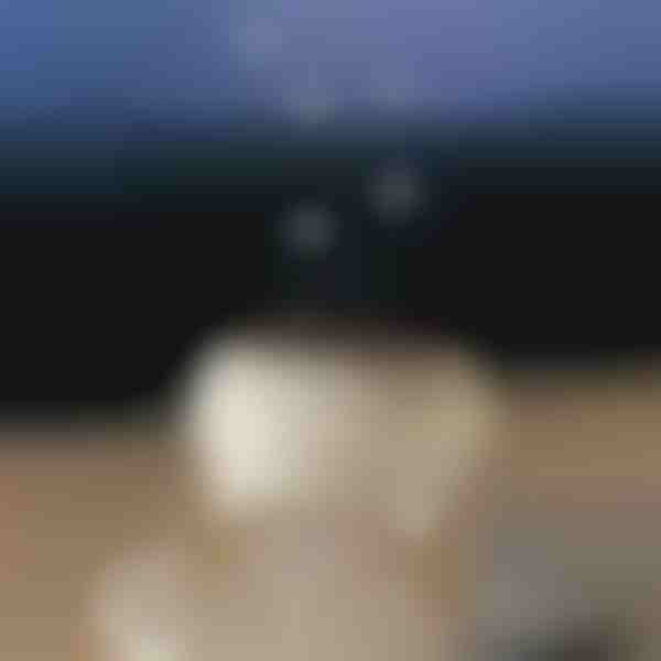 Umirujući difuzor arome | MEDUSAMIST