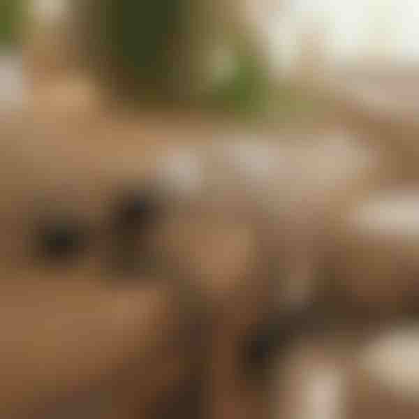 Magnetni samoljepljivi organizator kabela | CABLIP