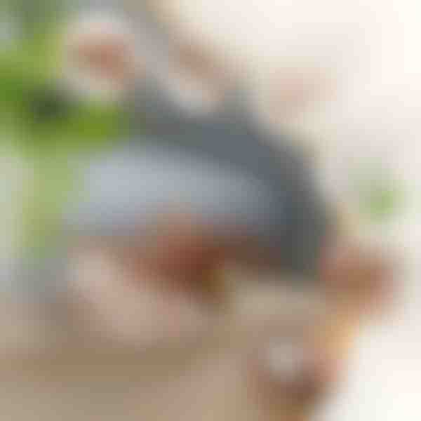 Interaktivna igračka ptica koja maše krilima | CHIRRCAT